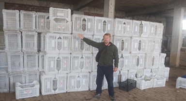 Tarım Kredi zeytin üreticisini yüzüstü bıraktı