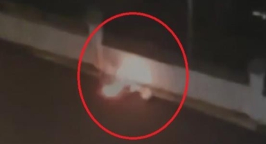 Camdan atılan valiz bomba paniğine sebep oldu