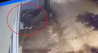 Çöp kovası hırsızı kamerada