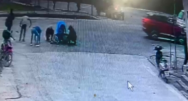 Düşen zeytinleri toplamak için seferber oldular