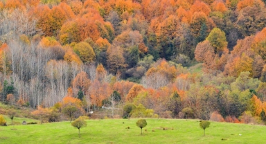 Güz güzeli İnegöl