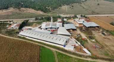İki kardeş mühendisliği bırakıp çiftlik kurdu