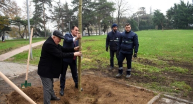 Lodosta yıkılan ağaçların yerine yenileri dikiliyor