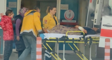 Odun keserken, eşinin kolunu kesti