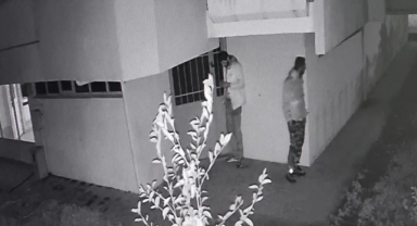 Site fareleri kameralara yakalandı