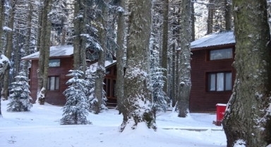 Uludağ'a kar yağdı, Orman Evleri'ne ilgi arttı