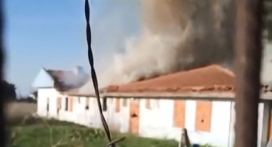 Bursa'da ahır alev alev yandı