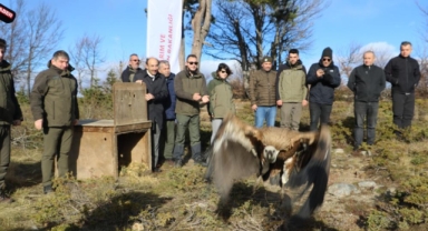 Göç yolculuğu yarım kalan Kızıl Akbaba doğaya salındı