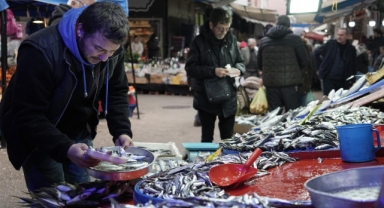 Hava şartları balık fiyatlarını etkiledi