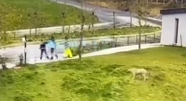 İstanbul'da Arıtma Tesisi’nde korkunç cinayet!