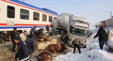 Hayvan yüklü tıra tren çarptı: 2 ölü