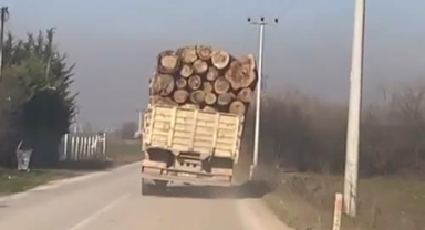 Tomruk yüklü kamyonetin tehlikeli yolculuğu