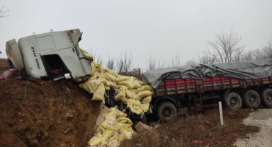 Yem yüklü tır yoldan çıktı: 2 yaralı