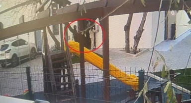 Hırsızlık için önce çocuk yapıyorlar