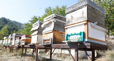 İnegöl’de ‘Karaçalı’ balı için coğrafi işaret çalışması