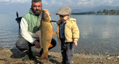 İznik Gölü'nde sazan bereketi