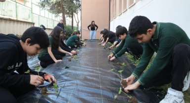 Öğrenciler, çilek ve marul dikerek tarımla tanıştı