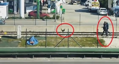 Sahibinden kaçan horoz, metro seferlerini aksattı