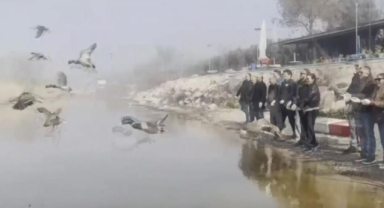 Tedavisi tamamlanan ördekler doğaya salındı