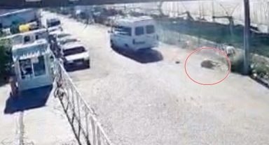 Antalya'da tüyleri ürperten cinayet gibi kaza