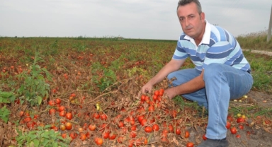 Başkan Erdem: “Salça ihracatının önü açılmalı”