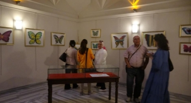 Benzersiz Kelebekler’e ziyaretçi akını