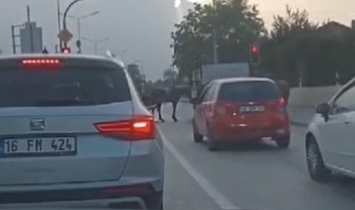 İnegöl'de atlara eziyet kamerada