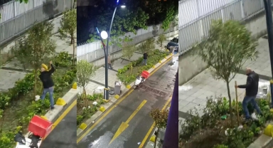 İstanbul’da bir şahıs ağaçla kavga etti