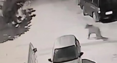 Kış uykusundan uyandı, soluğu köyde aldı
