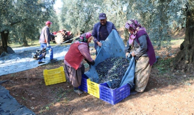 Marmarabirlik’ten ortaklarına 630 milyon liralık ödeme