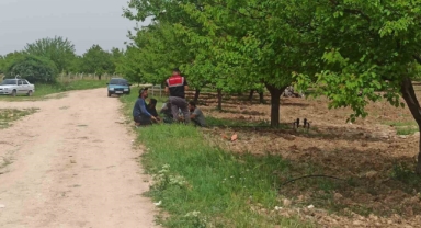 Polis memuru arazi kavgasında ağabeyini öldürdü