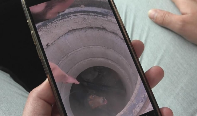 Rögara düşen köpeği böyle kurtardı
