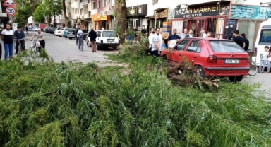 Seyir halindeki otomobilin üzerine ağaç devrildi