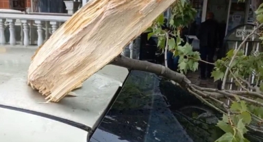 Şiddetli rüzgarda ağaç otomobilin üzerine düştü