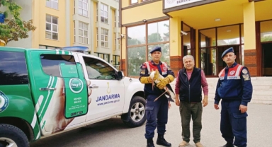 Yaralı leyleğe jandarma şefkati