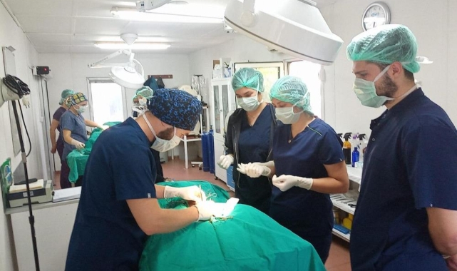 Geleceğin veteriner hekimlerine uygulamalı eğitim