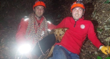Kayalıklarda mahsur kalan köpeğe operasyon