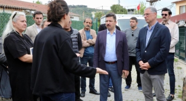 Mudanya'da sokak hayvanları için rehabilitasyon merkezi kuruluyor