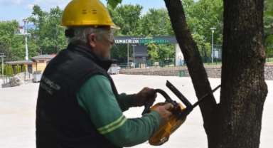 Yıldırım orman parkları yaza hazır