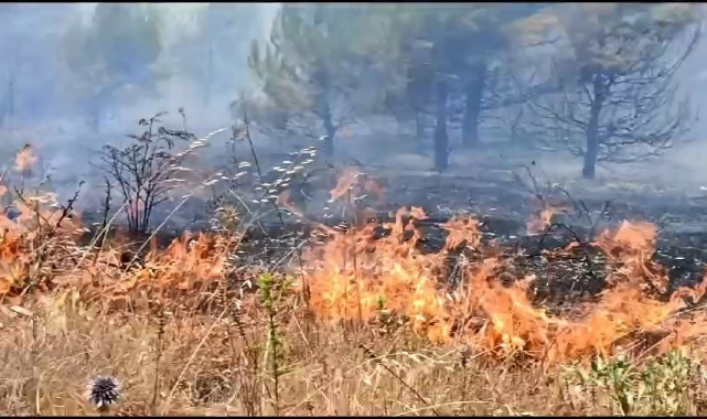 Anız yangını,büyümeden kontrol altına alındı
