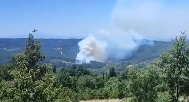 Bursa'nın dağ ilçesinde orman yangını