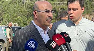 Bursa Valisi açıkladı:100 hektar orman alanı yandı