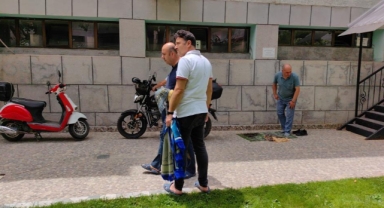 Cuma namazında cemaatin üzerine ağaç devrildi