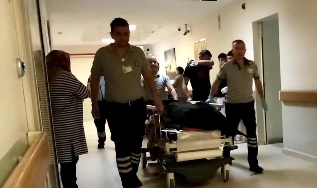 Ihlamur ağacından düşen adam hayatını kaybetti