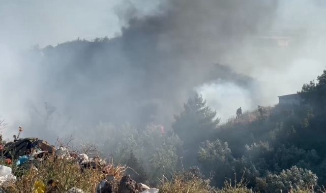 İznik’te çıkan yangın rüzgarın etkisiyle hızla büyüyor