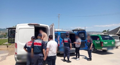 Jandarma'dan sahte zeytinyağı operasyonu
