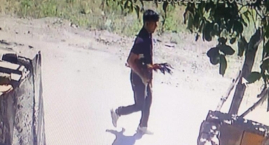 Karacabey'de horoz hırsızı kamerada