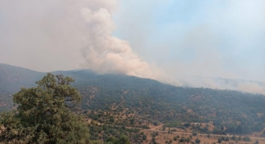 Manisa'da korkutan yangın!