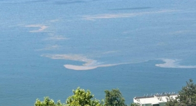 Marmara Denizi'nde müsilaj endişesi