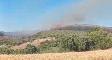 Mudanya'da ve Gemlik'te korkutan yangınlar